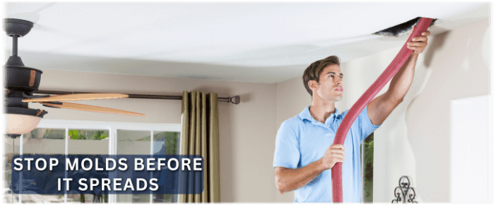 Air Duct Mold Removal in Richmond TX